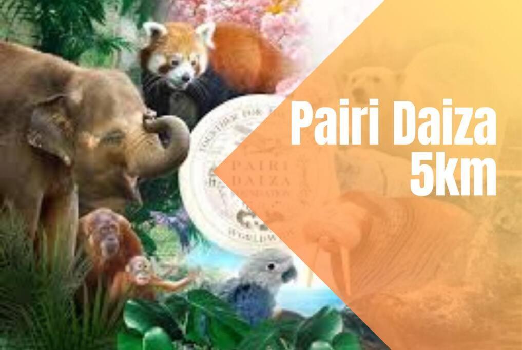 Charmant Logement Brugelette Proche De Pairi Daiza Buitenkant foto